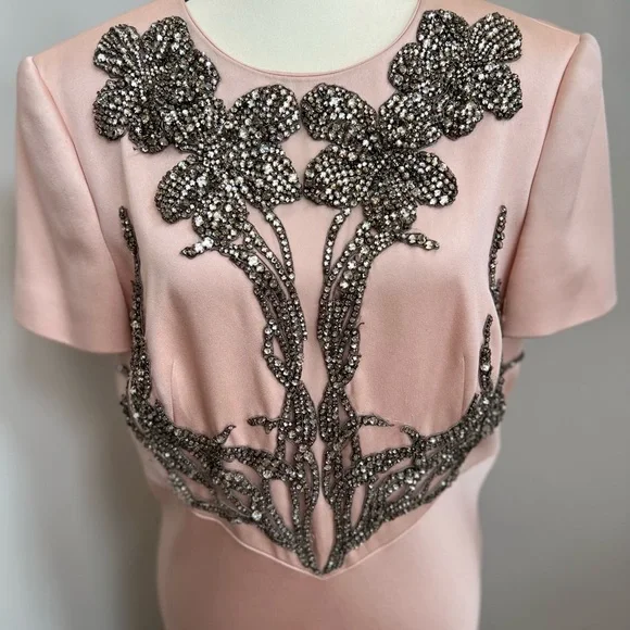 Gorgeous Alexander McQueen Gown size 48 - Picture 9 of 12